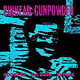 PINHEAD GUNPOWDER/GOODBYE ELLSTON AVENUE (2010ĔCD)